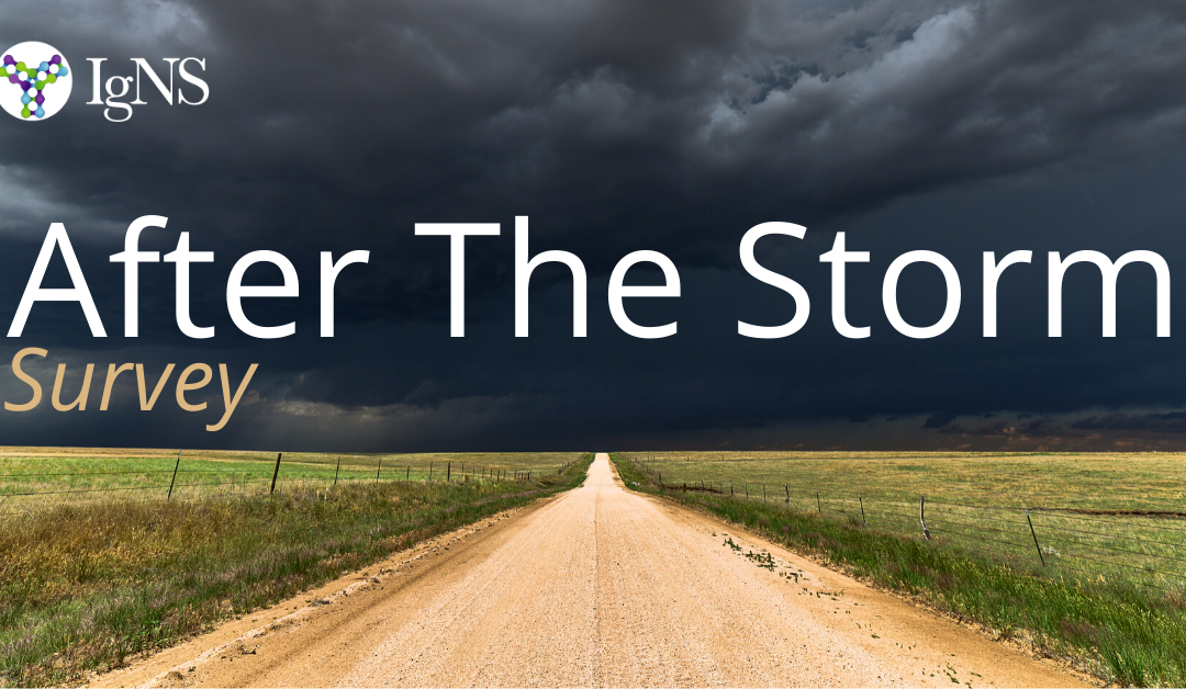 After the Storm
